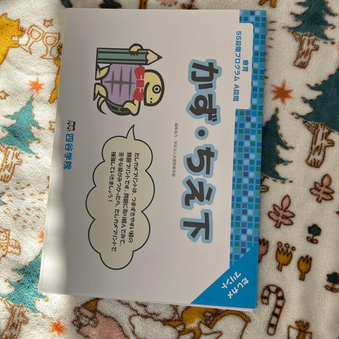 四谷学院55段階療育A段階