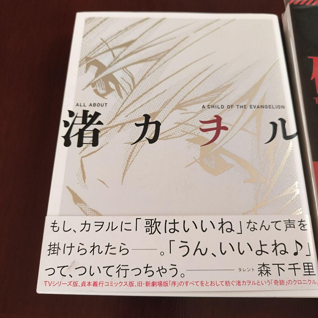 エヴァンゲリオン19本グッズ まとめ売り