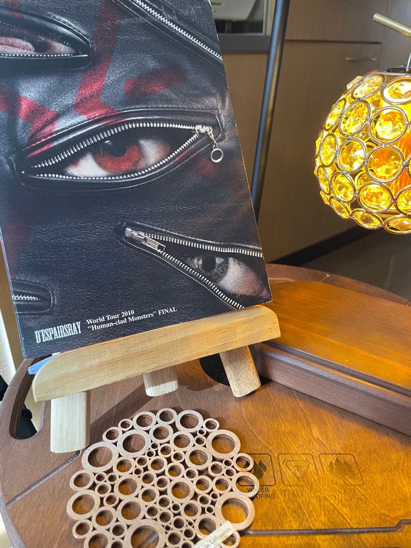 DespairsRay World Tour DVD V系　ヴィジュアル系　廃盤