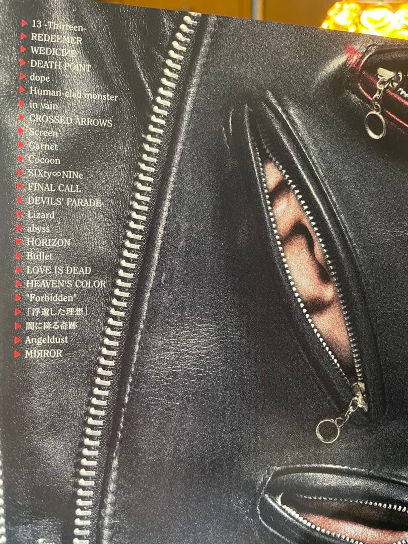 DespairsRay World Tour DVD V系　ヴィジュアル系　廃盤