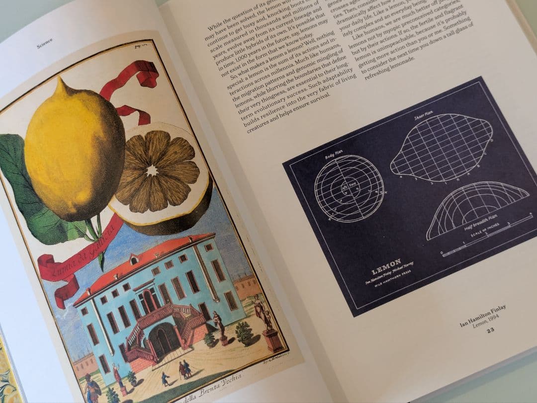 【新品】The Gourmand's Lemon / タッシェン レモン