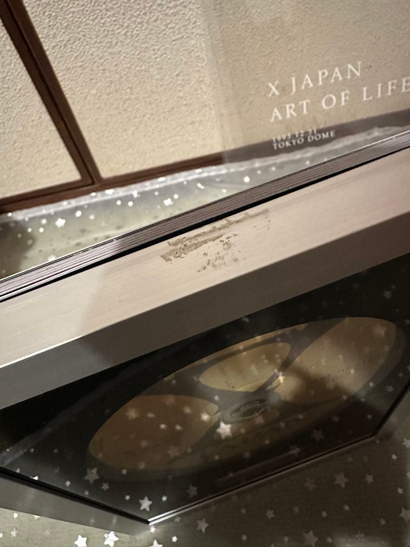 XJAPAN COMPLETE II ART OF LIFE WEARE Ｘ