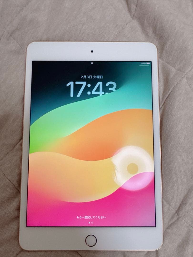 iPad mini 5 64GB｜7.9インチ wifiモデル　98%