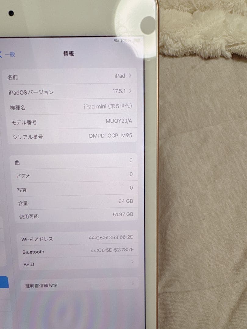 iPad mini 5 64GB｜7.9インチ wifiモデル　98%