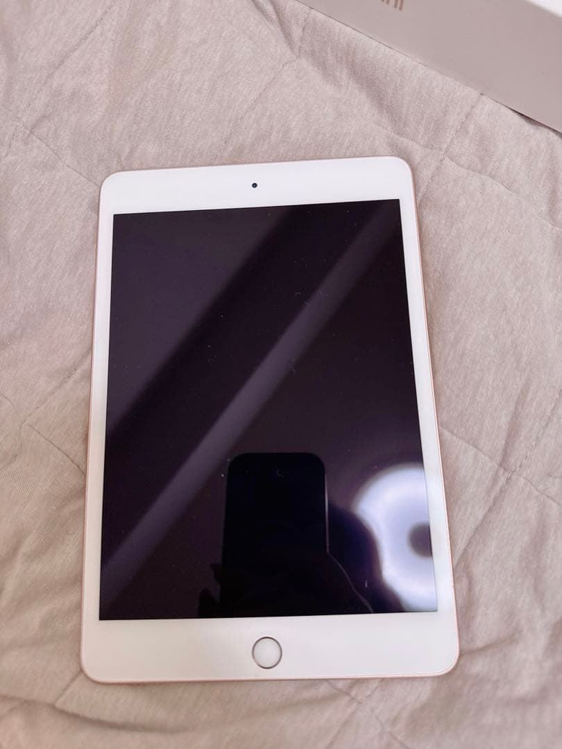 iPad mini 5 64GB｜7.9インチ wifiモデル　98%