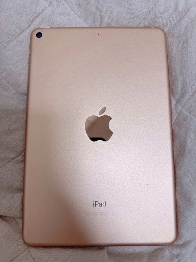 iPad mini 5 64GB｜7.9インチ wifiモデル　98%
