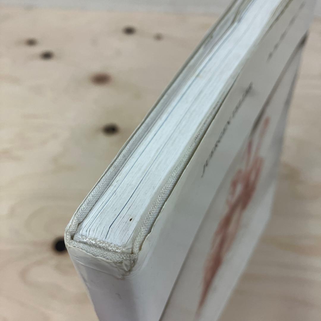 ユルゲンテラー　写真集　Do You Know What I Mean