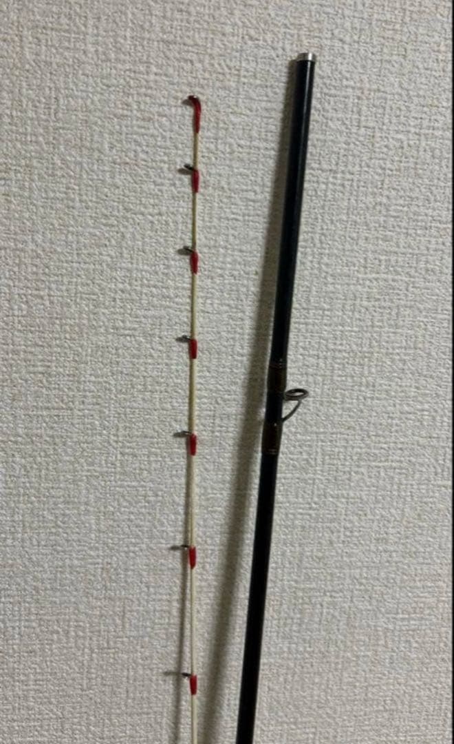Daiwa ANALYSTAR アナリスター　マゴチ　235