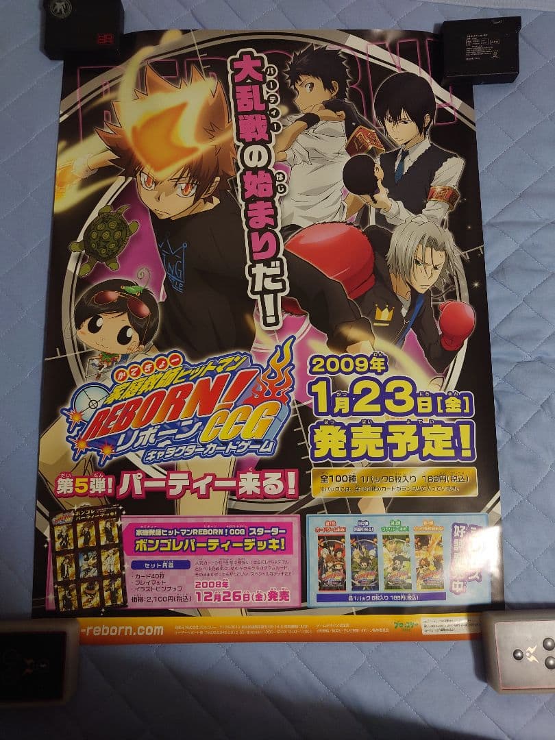 630.19枚セット　家庭教師ヒットマンREBORN!　CCG ポスター