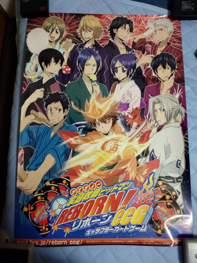 630.19枚セット　家庭教師ヒットマンREBORN!　CCG ポスター