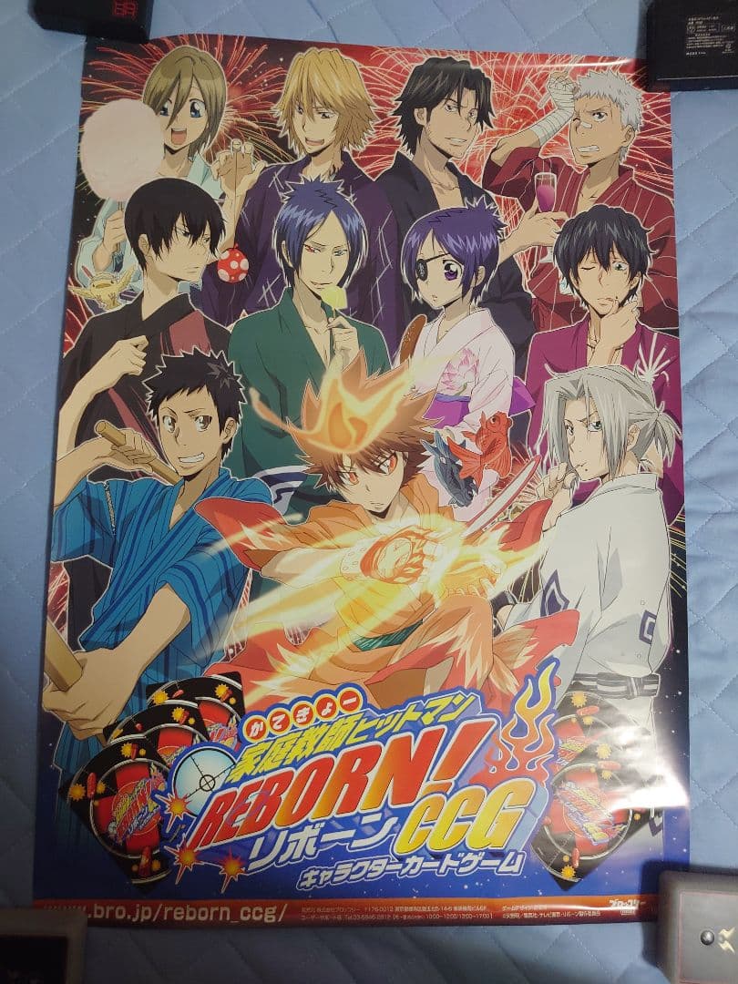 630.19枚セット　家庭教師ヒットマンREBORN!　CCG ポスター