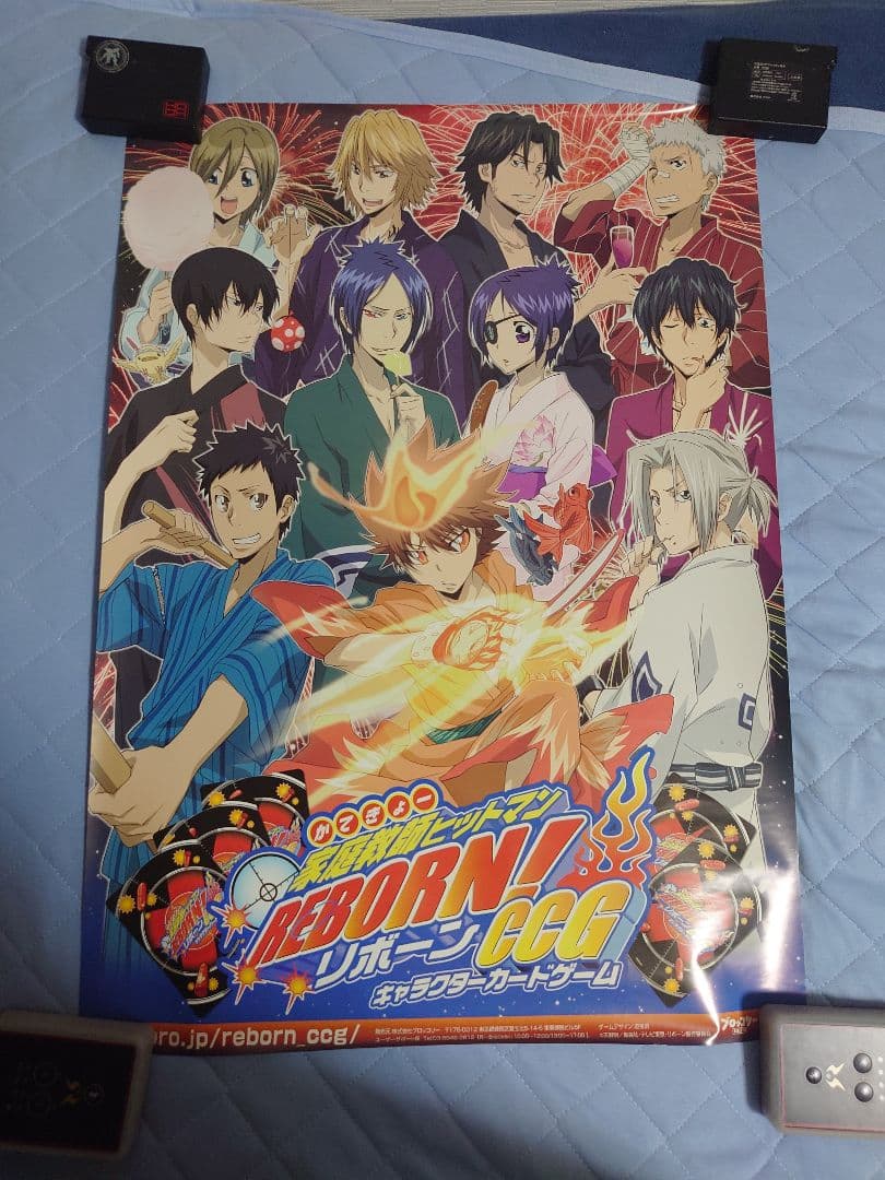 630.19枚セット　家庭教師ヒットマンREBORN!　CCG ポスター