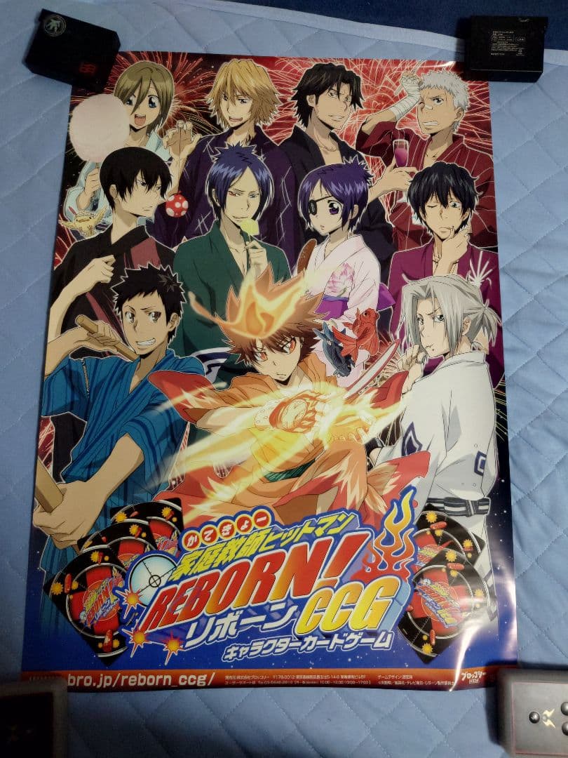 630.19枚セット　家庭教師ヒットマンREBORN!　CCG ポスター