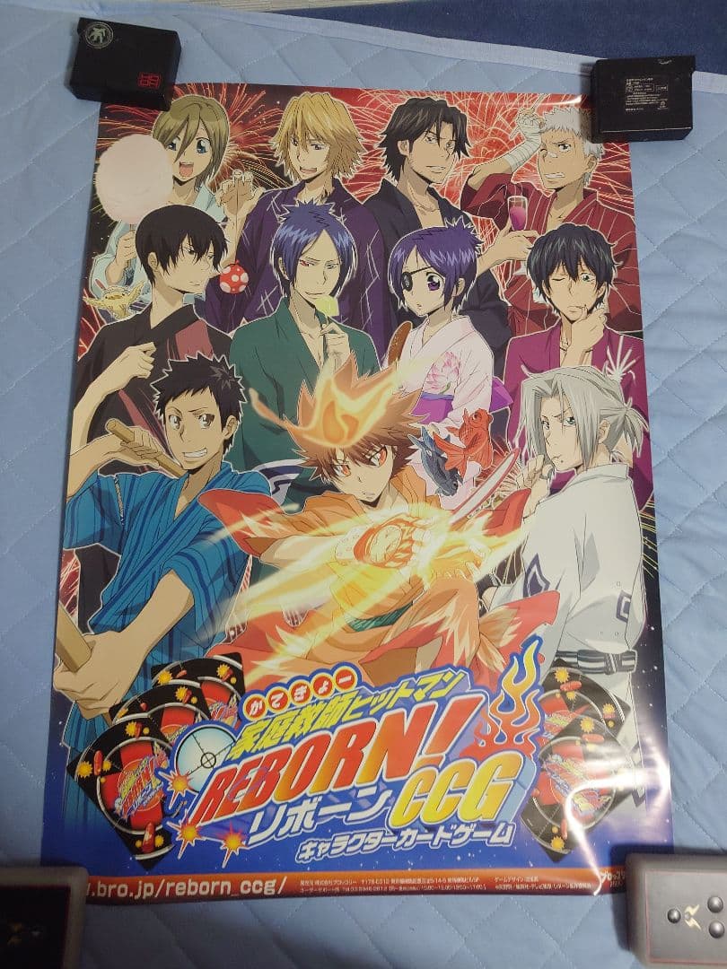 630.19枚セット　家庭教師ヒットマンREBORN!　CCG ポスター