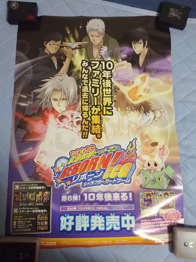 630.19枚セット　家庭教師ヒットマンREBORN!　CCG ポスター