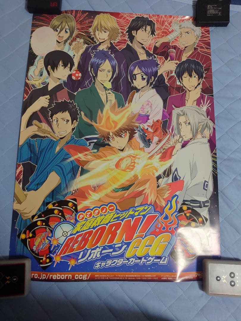 630.19枚セット　家庭教師ヒットマンREBORN!　CCG ポスター