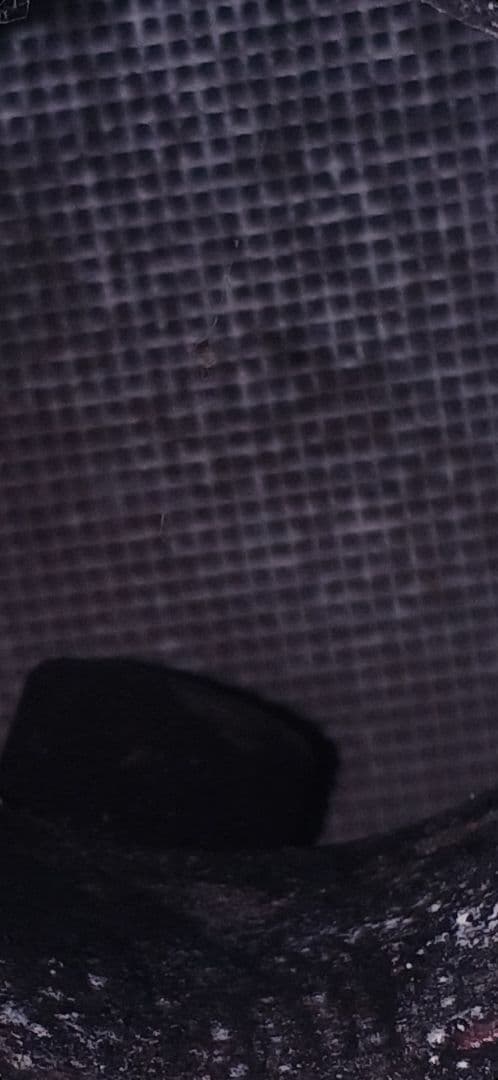 シビック　EG6 純正触媒