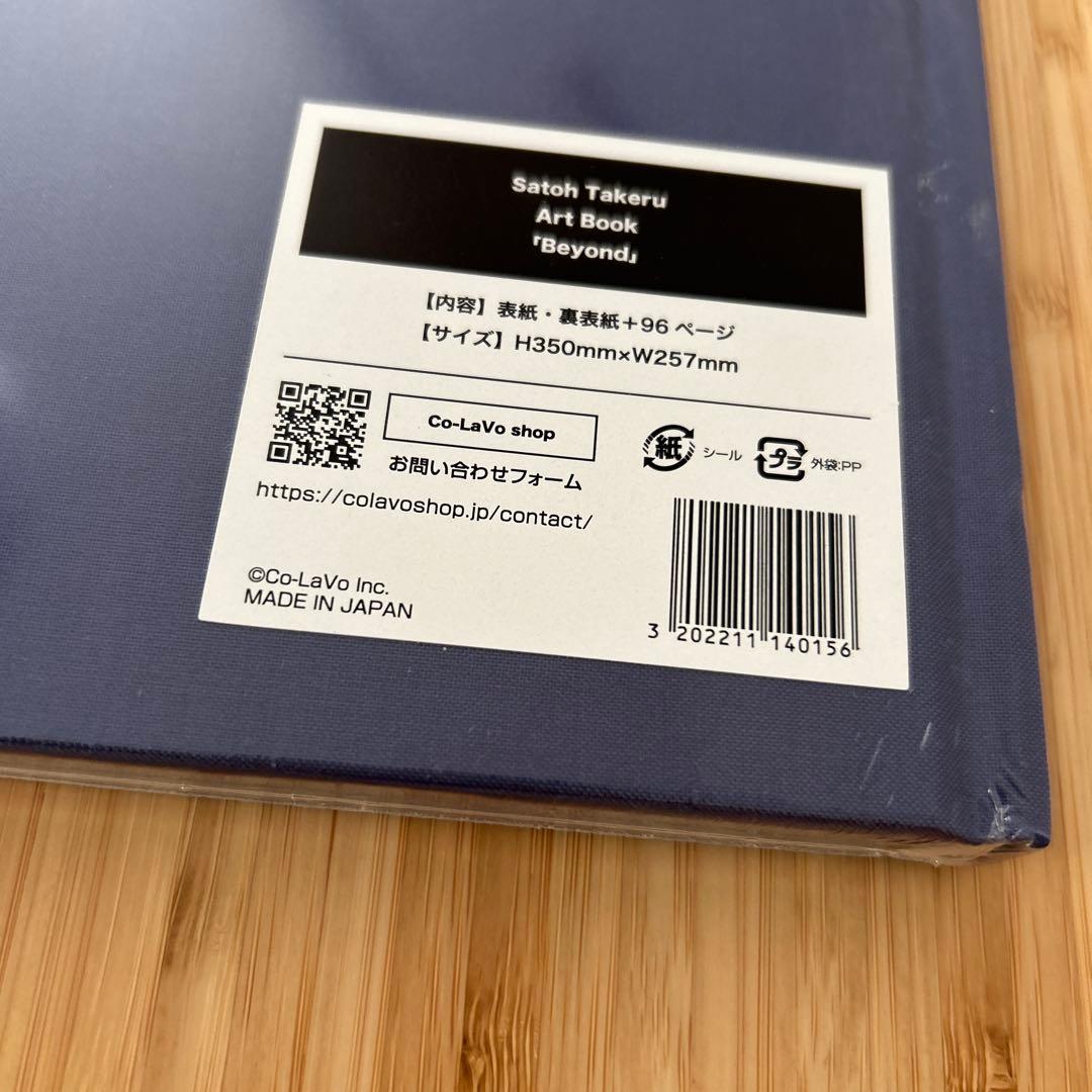 佐藤健　写真集 アートブック「Beyond」