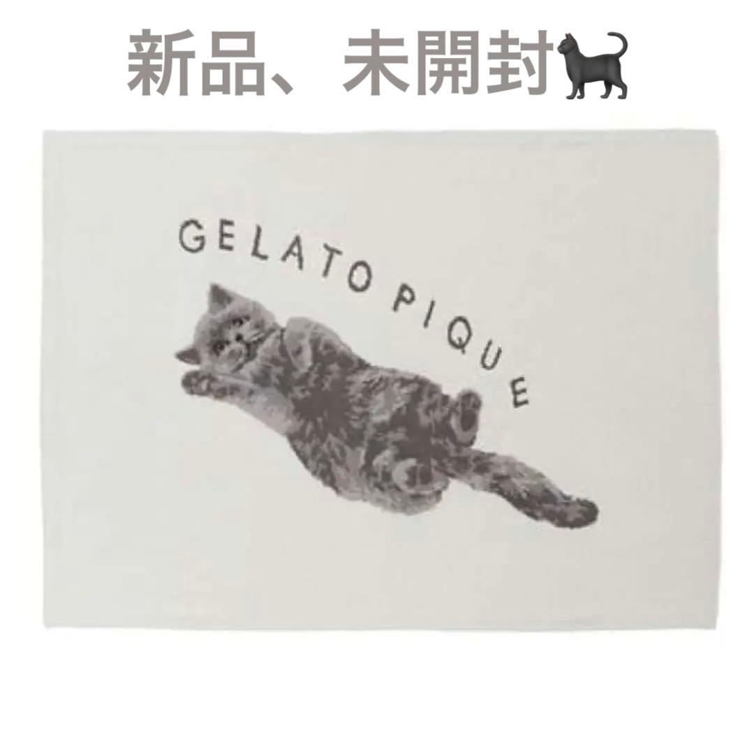 新品 未開封 ジェラートピケ　CATジャガードブランケット