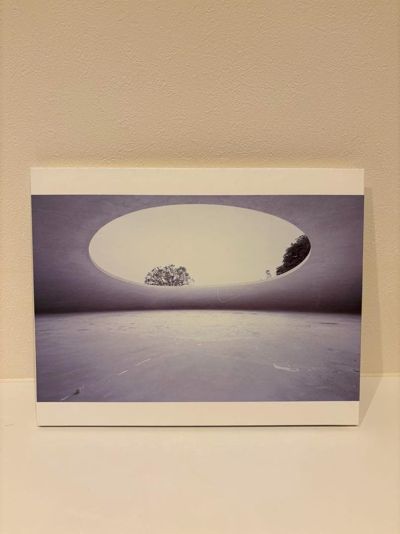 豊島美術館 開館1周年記念 写真集 美術家 内藤礼 建築家 西沢立衛 限定