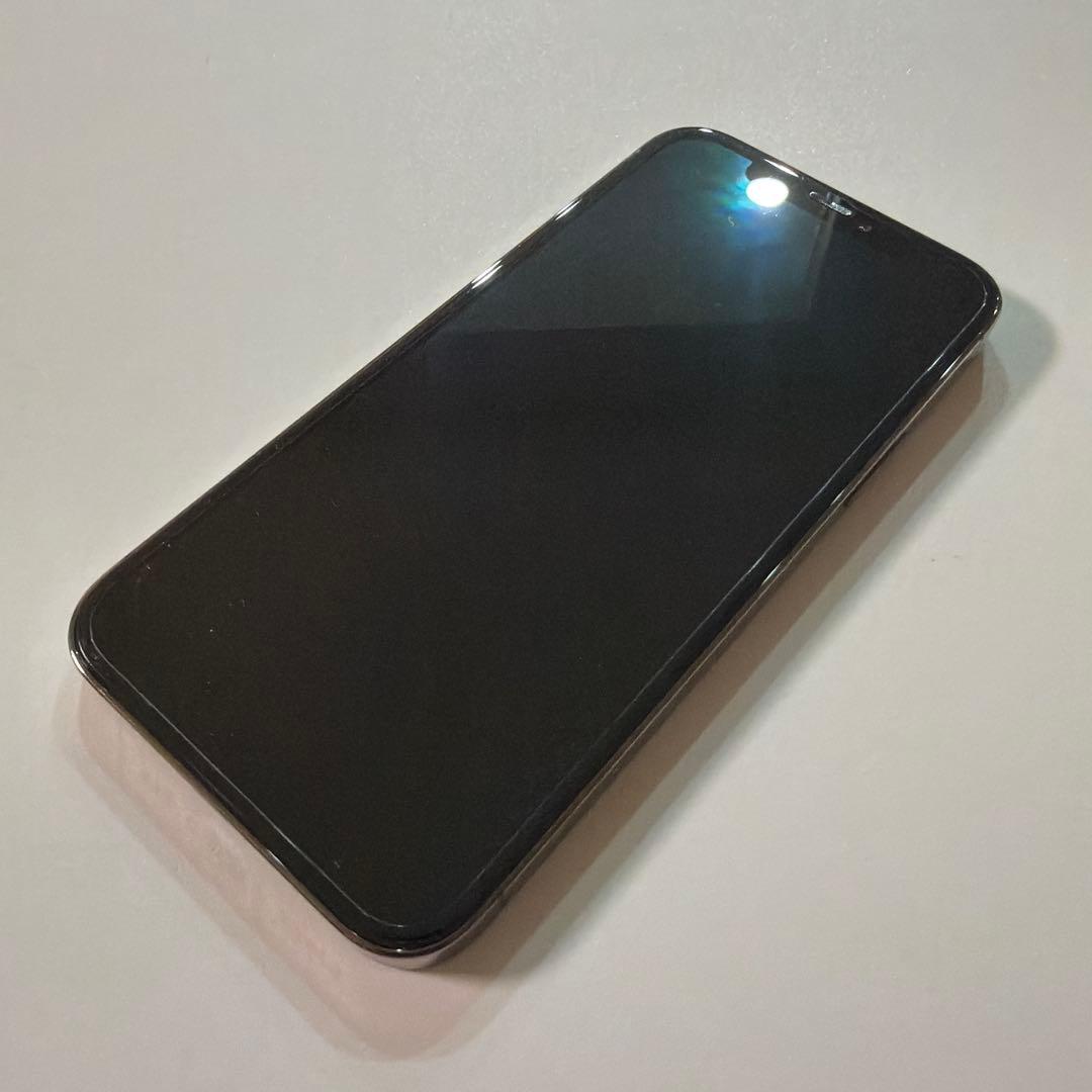 iPhone 12 Pro 256GB グラファイト 本体 おまけ SIMフリー