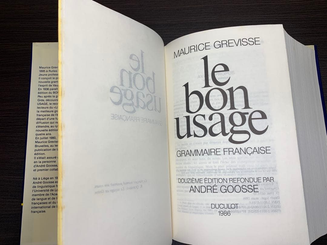 【極美】le bon usage ボンユザージュ　フランス語文法辞典