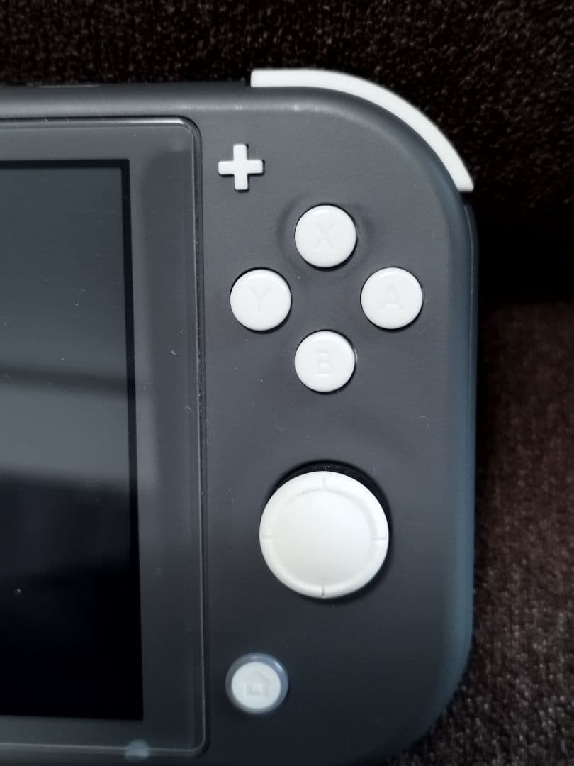 Nintendo Switch Lite グレー 専用ケース・カバー付き