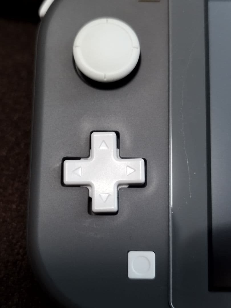 Nintendo Switch Lite グレー 専用ケース・カバー付き