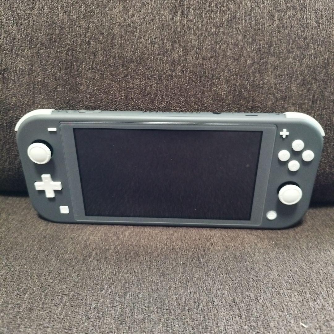 Nintendo Switch Lite グレー 専用ケース・カバー付き