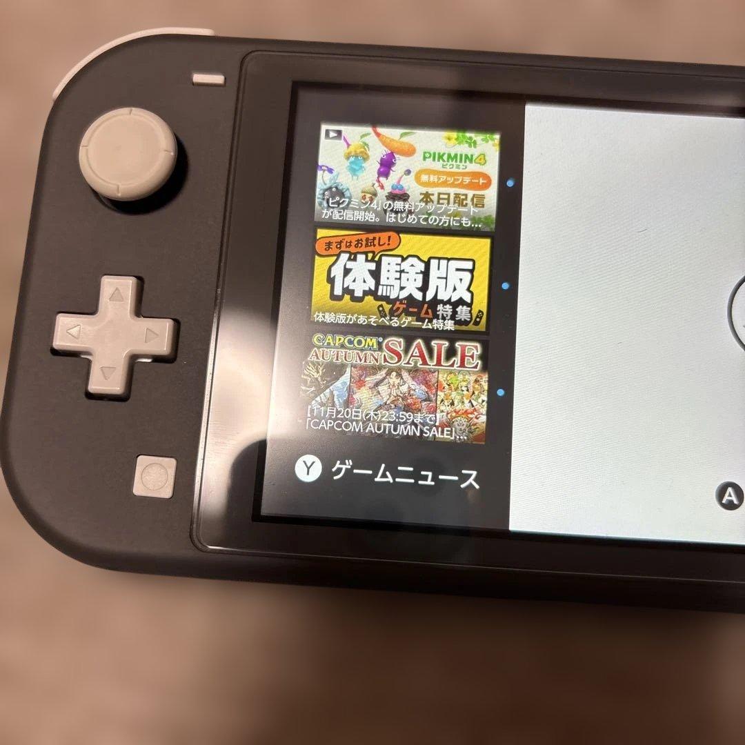 Nintendo Switch ライト　グレー　2023年　生産