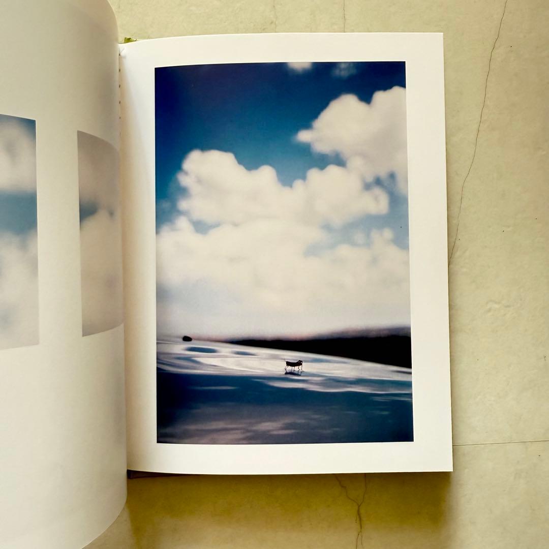 アート・デザイン・音楽 Some Insects Terri Weifenbach