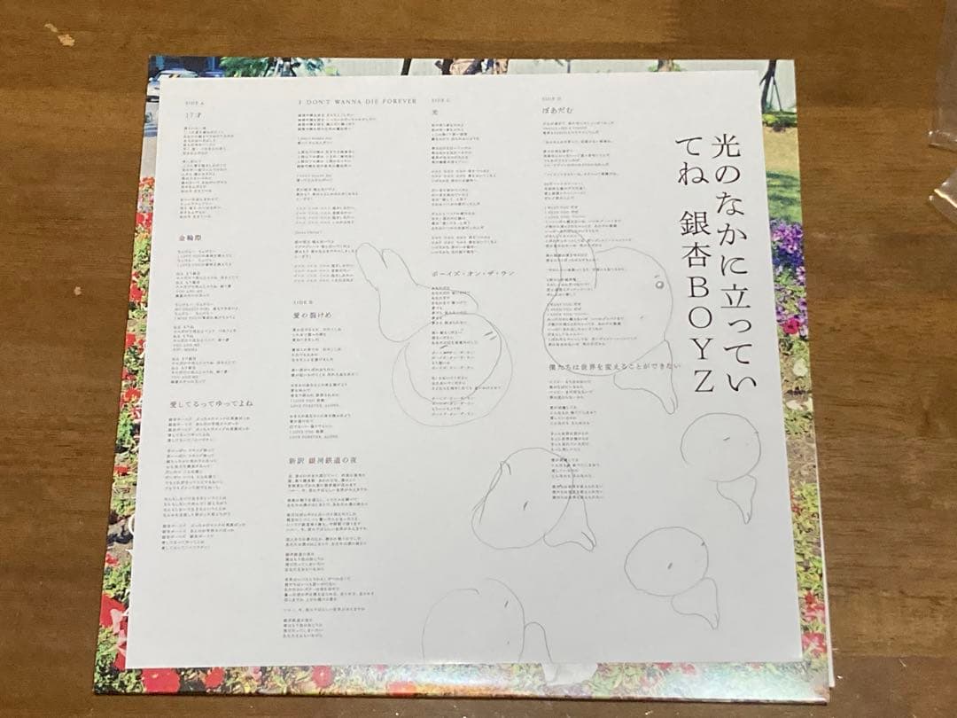 銀杏BOYZ 光のなかに立っていてね アナログ盤
