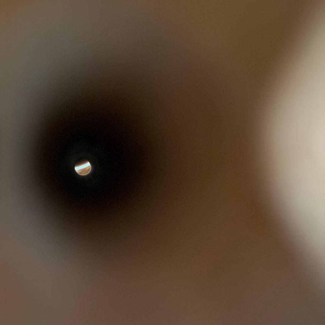 カメレオン　ウッドサックス　管楽器　笛　サックス　民族楽器　リガーチャ