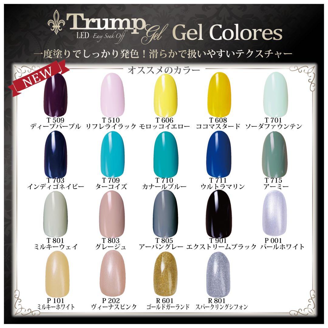 プロフ必読100gバルクセット５色