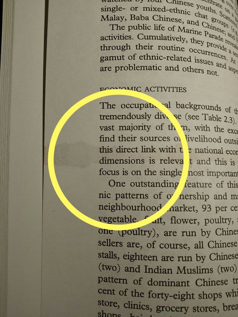 〈洋書〉多民族性の意味：シンガポールにおける民族性と民族関係のケーススタディ