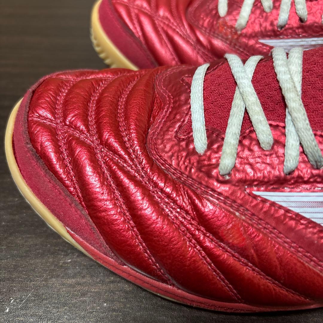 モレリア サラ ベータ ジャパン