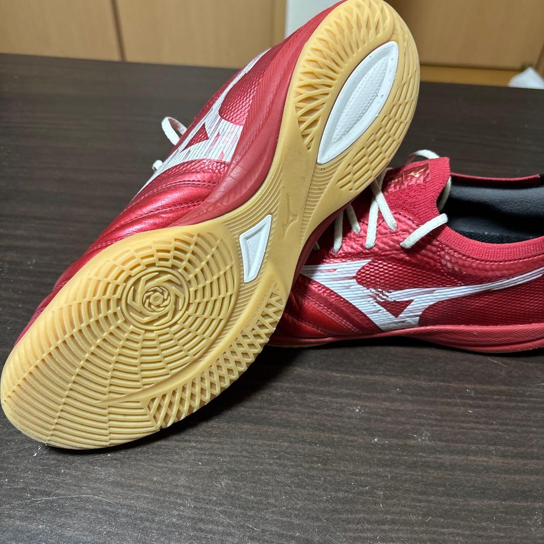 モレリア サラ ベータ ジャパン