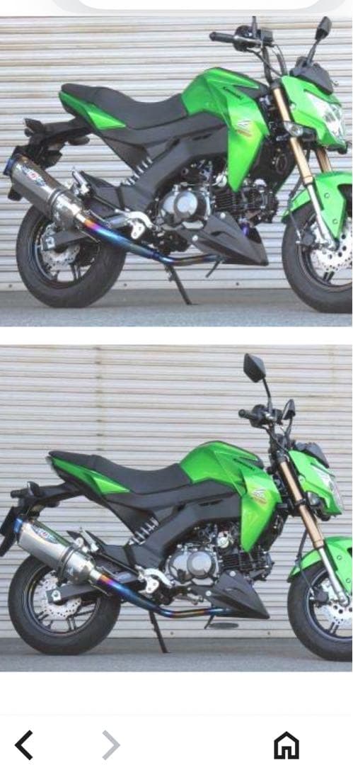 Ｚ125PRO NASSERT-Ｒ　EVOLUTION TYPE 2