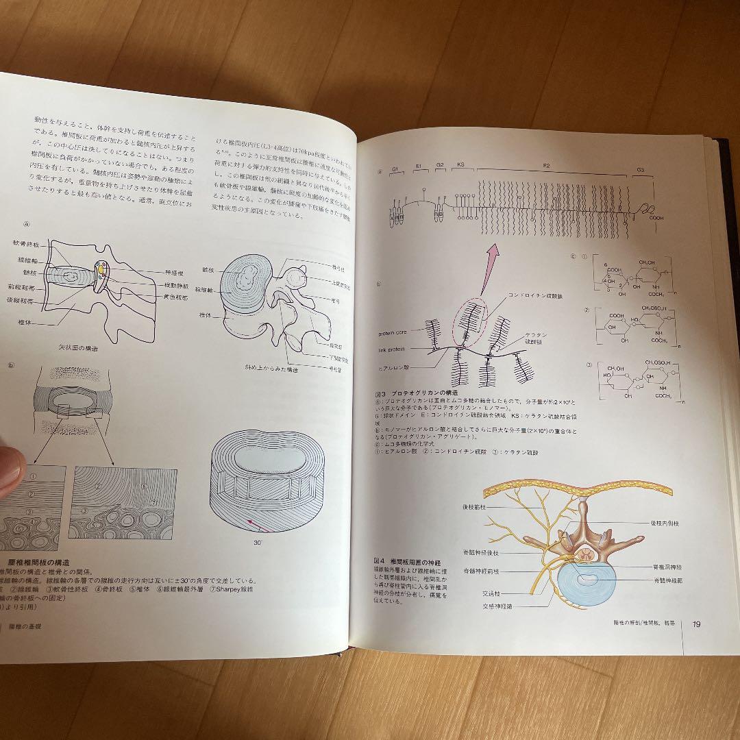 図説腰椎の臨床
