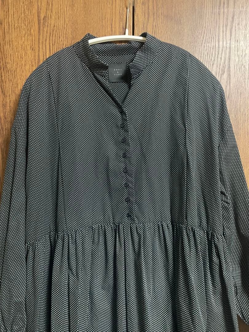 オオカミとフクロウ　フクロウと佇む木々の木漏れ日