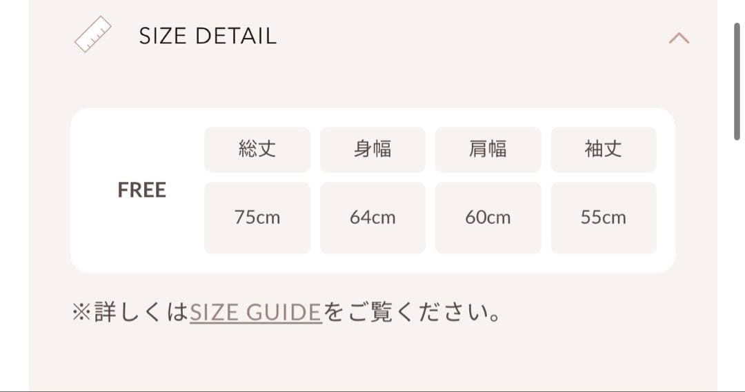 【新品タグ付き】Darich DDロゴビジュースウェットプルオーバー BLK