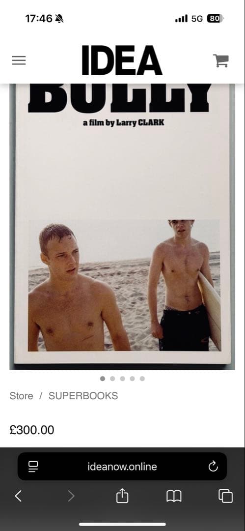 BULLY - Larry Clark ラリークラーク ブリー パンフレット