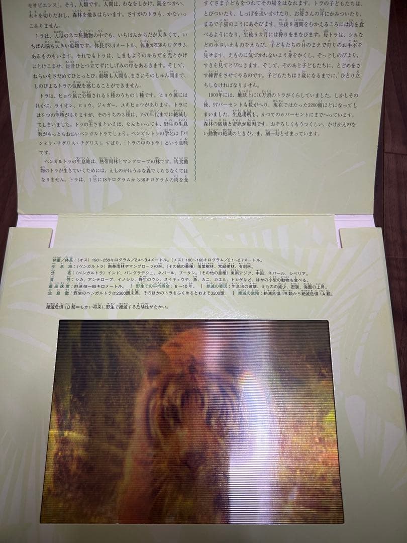 しかけ絵本４冊セット(ジャングル/サファリ/ダイナソー/オーシャン)