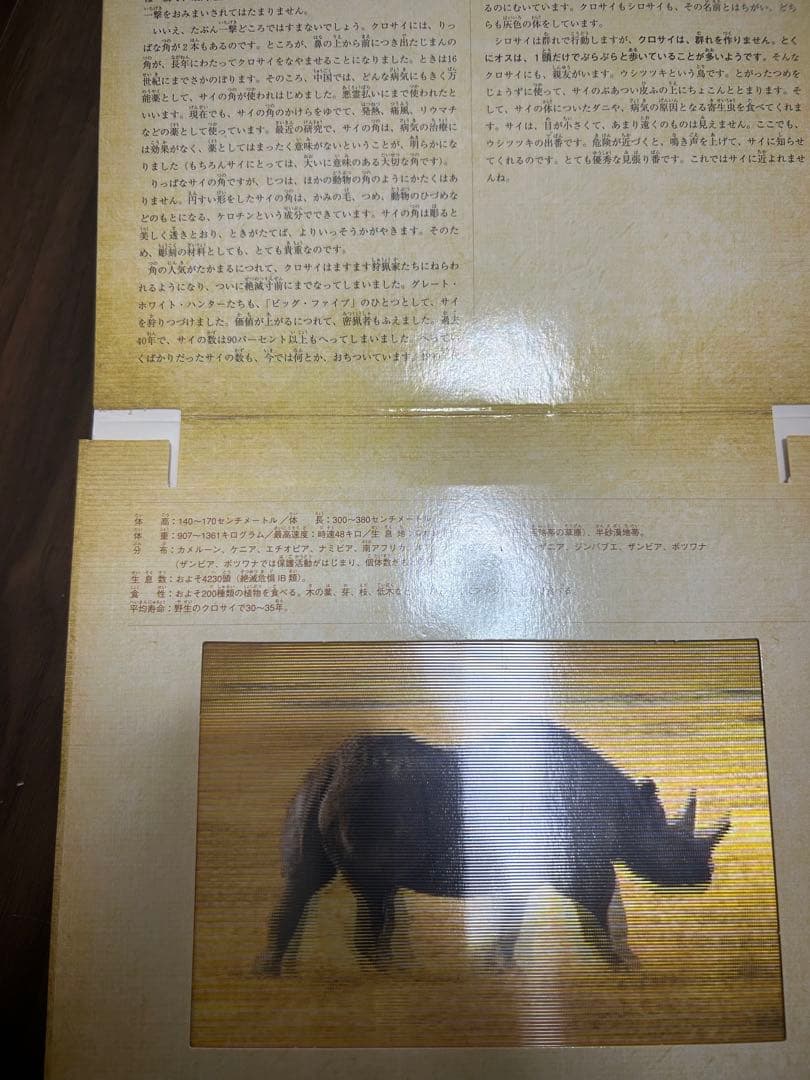 しかけ絵本４冊セット(ジャングル/サファリ/ダイナソー/オーシャン)