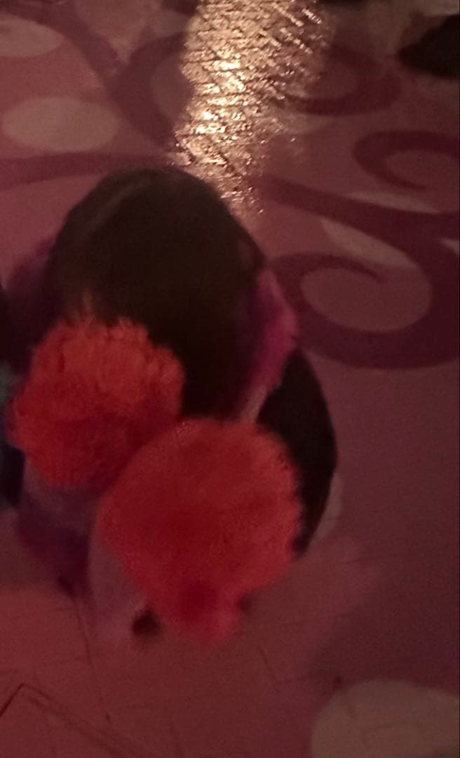 ディズニーチシャ猫マフラー