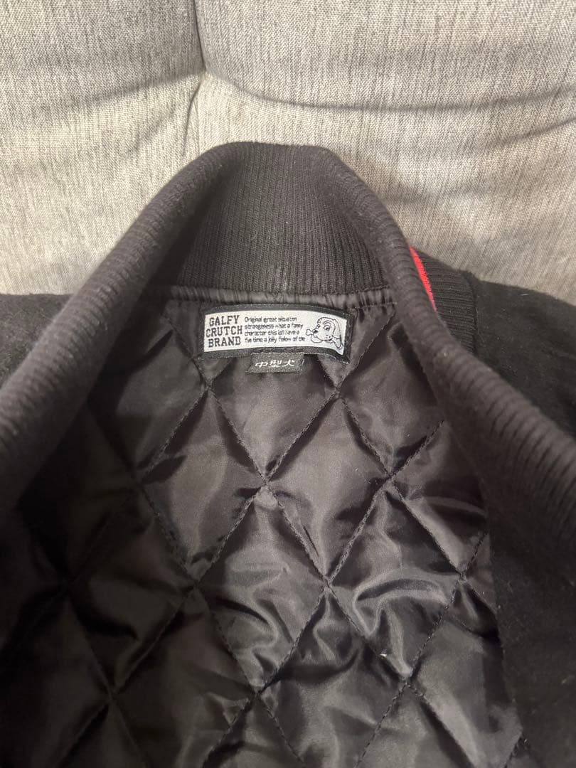！最終値下げ！GALFY/ガルフィー2代目わんわん大学JKT
