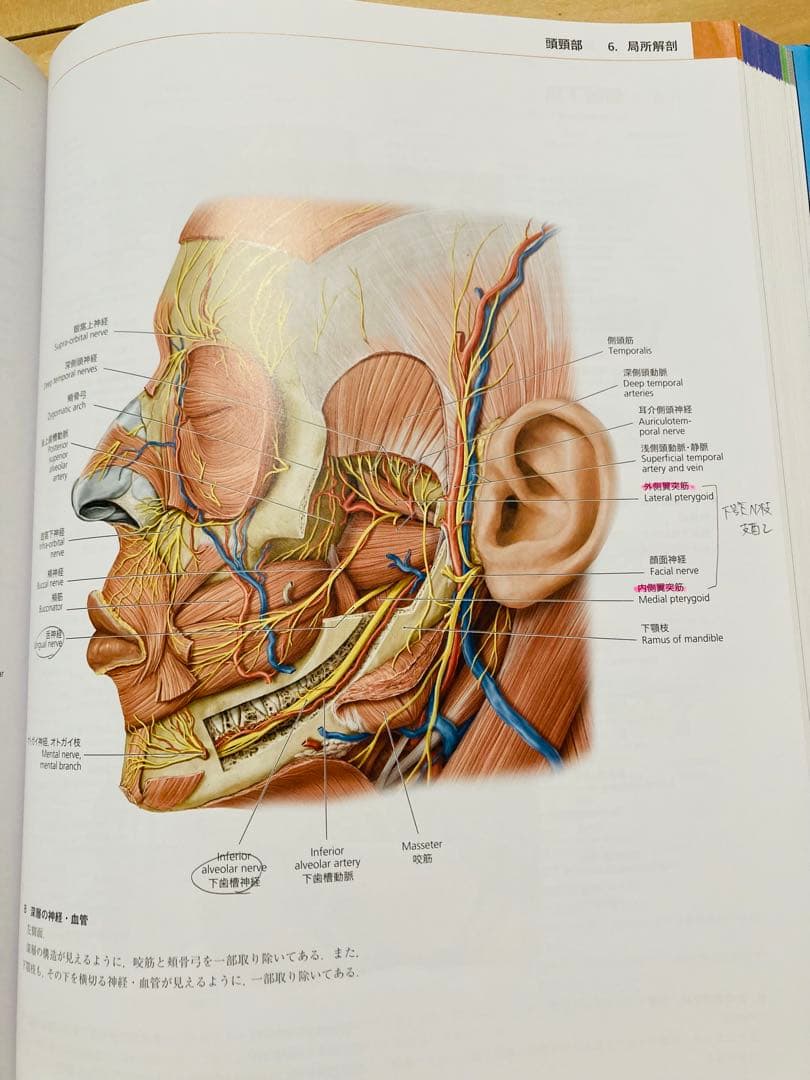 プロメテウス解剖学アトラス 第2版　3冊セット