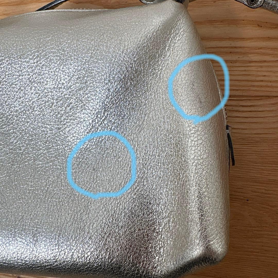 GIANNI CHIARINI シルバー ショルダーバッグ　アリファS