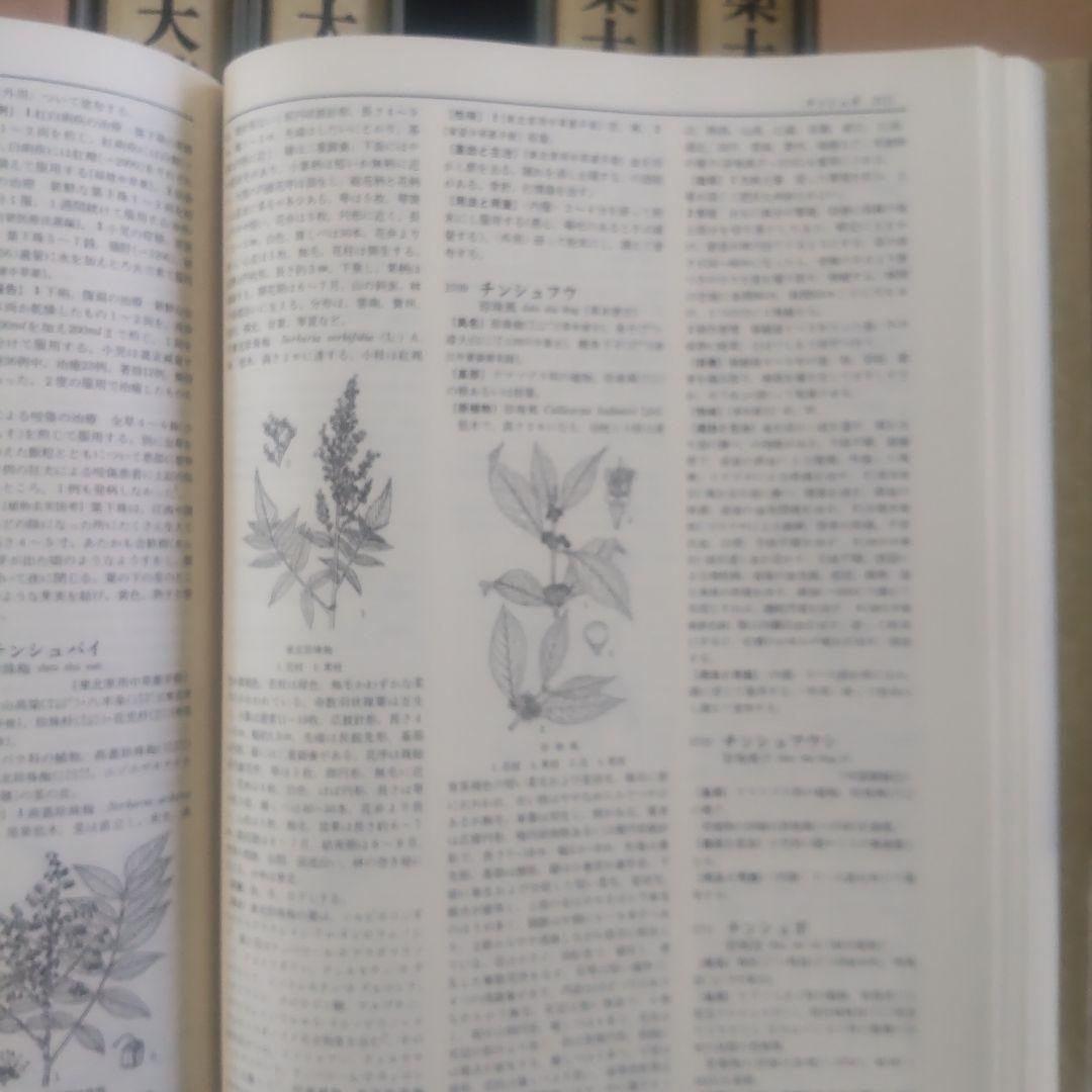 中薬大辞典 全5巻 小学館