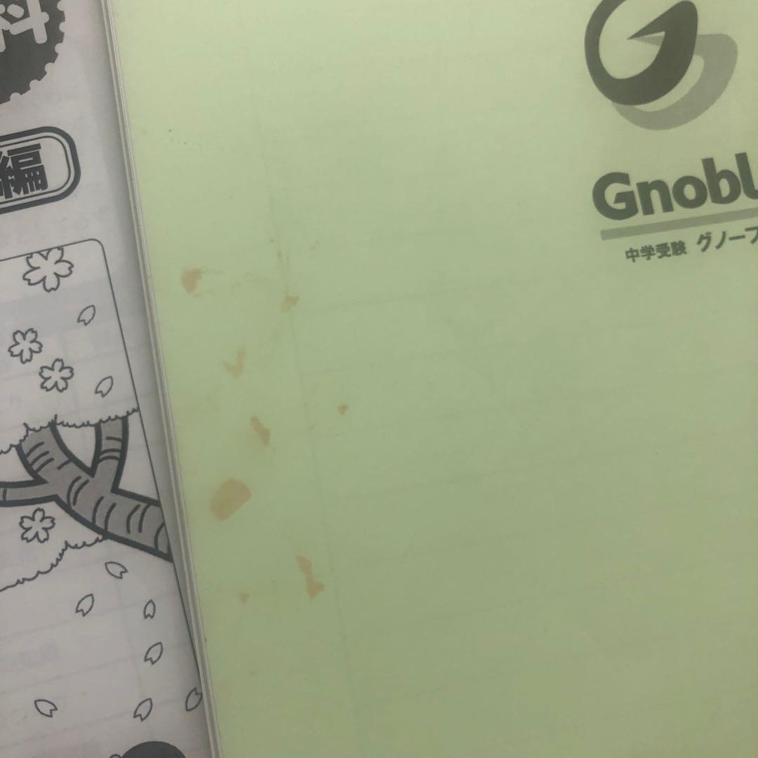 未使用グノーブル 基礎力テスト 5年生 理科 解答解説